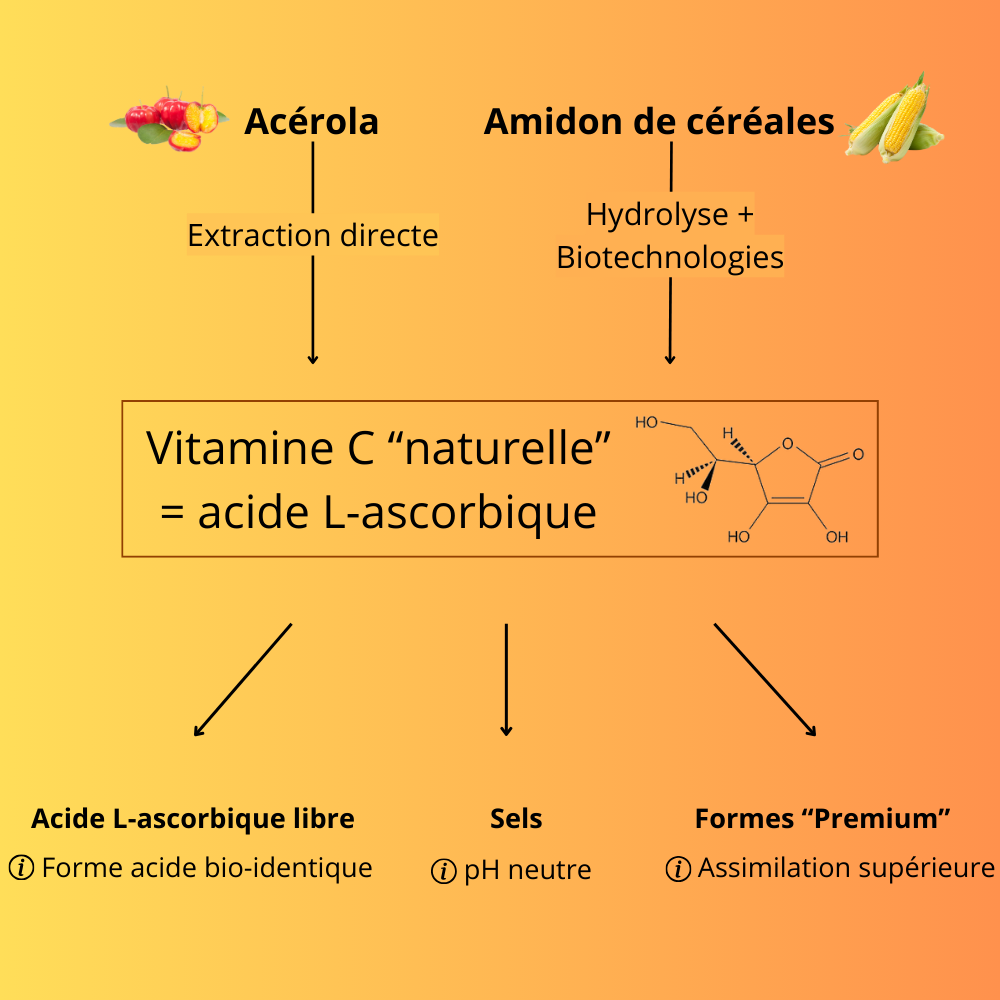 Les différentes formes de vitamine C des compléments alimentaires